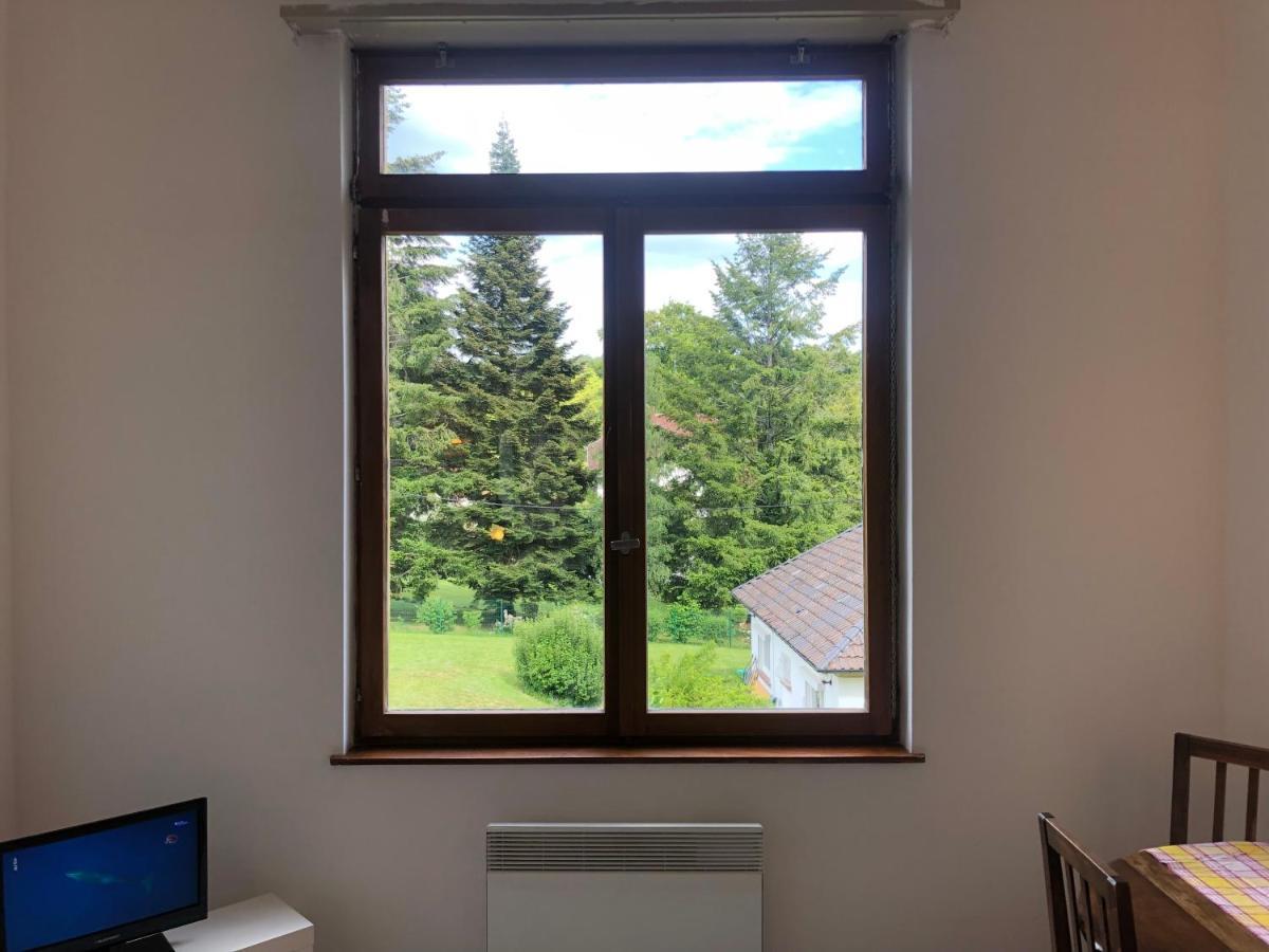 Apartament Loft Mon Soleil Le Hohwald Zewnętrze zdjęcie